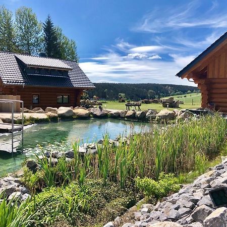 Naturstammhaus Und Appartements Zum Brockenbaecker Танне Экстерьер фото
